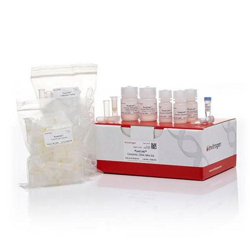 Mini Kit ADN génomique PureLink™ Invitrogen™