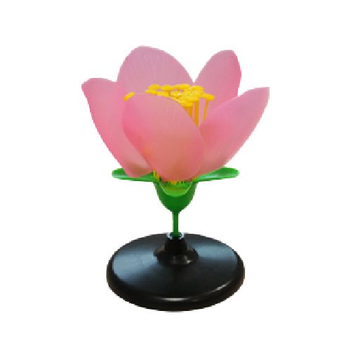 Modèle Fleur de pêcher, NAHITA®