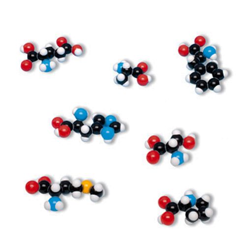 Modèle moléculaire organique, Molymod®