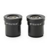 Oculaires SB.6015