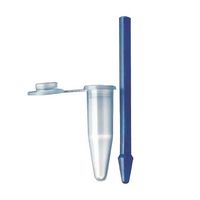 Pilon