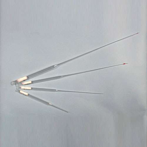 Pipettes pasteur, carton de 1000