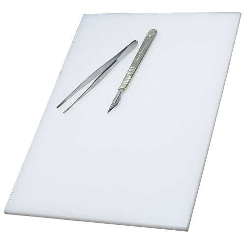 Planche à dissection