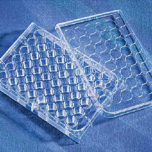 Plaque de culture cellulaire en polystyrène transparent à fond plat Corning™, avec couvercle