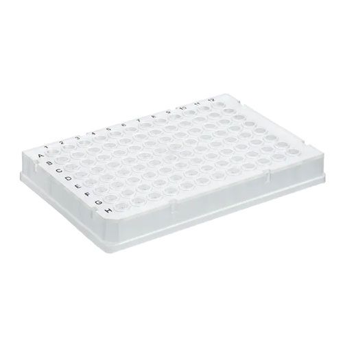 Plaque PCR - 781541