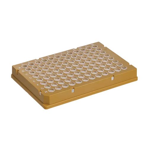 Plaque PCR - 781542