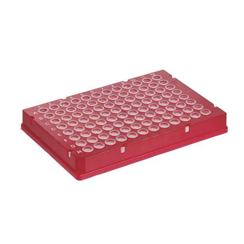 Plaque PCR - 781543