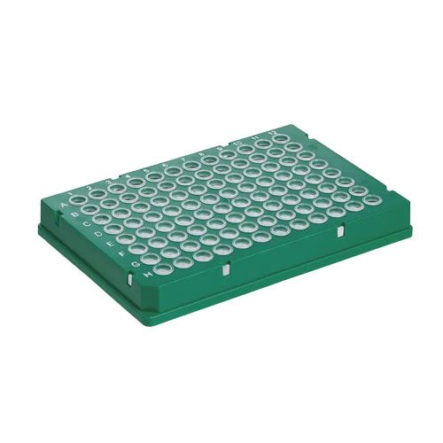 Plaque PCR - 781544