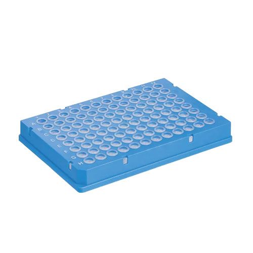Plaque PCR - 781545