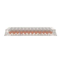 Plaques Nunc™ MicroWell™ avec surface Nunclon™ Delta, Thermo Scientific™