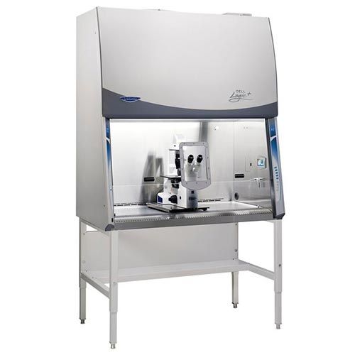Poste de sécurité microbiologique Purifier™ Cell Logic™+, CLASSE 2, LABCONCO™, pour observation microscopique