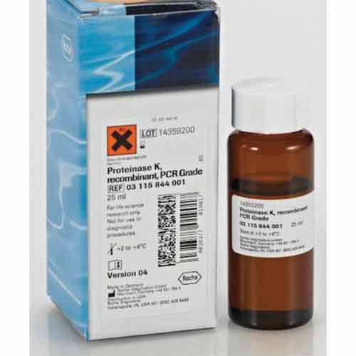 Proteinase K, recombinant, PCR Grade
