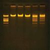 Kit Expériences Avancées sur l’ADN