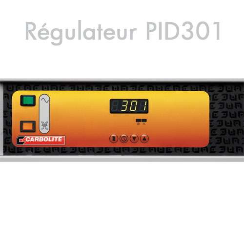 Régulateur PID301