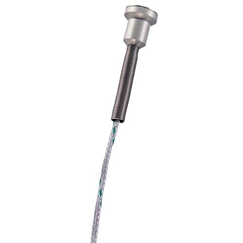 Sonde de température avec aimant (06024892)