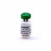 Souche micro-organisme BactoBeads™, E. coli JM109
