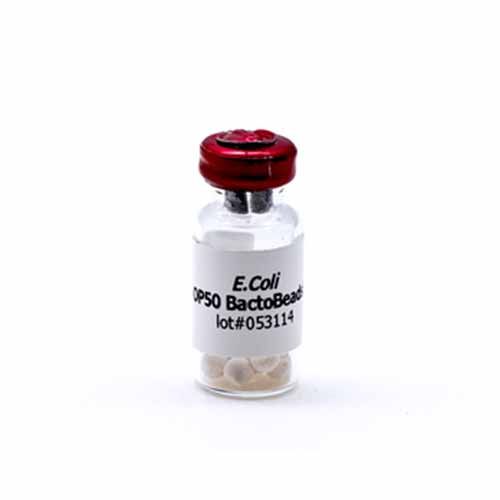 Souche micro-organisme BactoBeads™, E. coli OP50