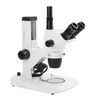 Stéréomicroscope binoculaire NexiusZoom, EUROMEX®, S