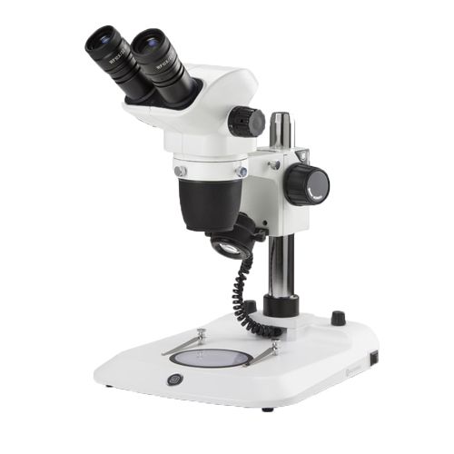Stéréomicroscope binoculaire NexiusZoom, EUROMEX®, statif a colonne