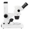 Stéréomicroscope binoculaire NexiusZoom, EUROMEX®, statif à crémaillère