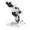 Stéréomicroscope binoculaire NexiusZoom EVO, EUROMEX®, statif à colonne