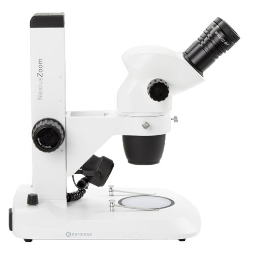 Stéréomicroscope binoculaire NexiusZoom EVO, EUROMEX®, statif à crémaillère