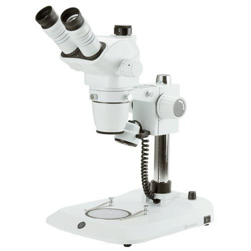 Stéréomicroscope trinoculaire NexiusZoom, EUROMEX® (support à colonne)