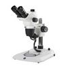 Stéréomicroscope trinoculaire NexiusZoom, EUROMEX®, statif à colonne