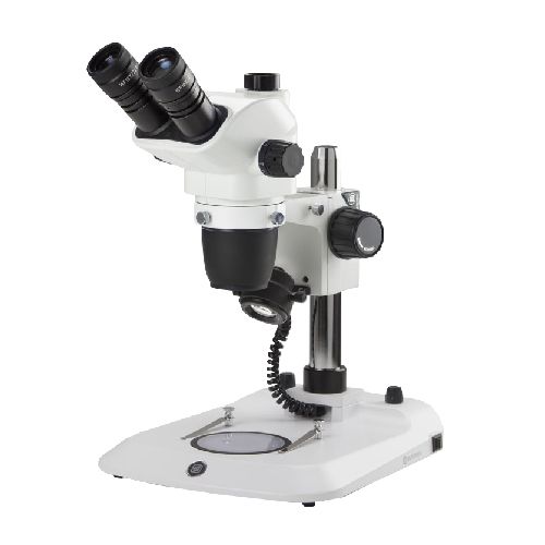 Stéréomicroscope trinoculaire NexiusZoom, EUROMEX®, statif à colonne
