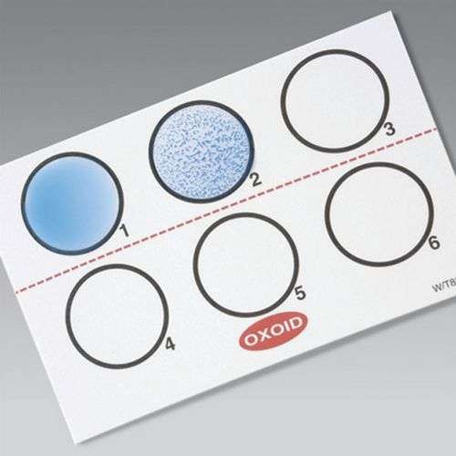 Tests d'identification DR0800M