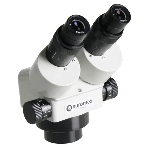 Tête pour stéréomicroscope StéréoVet, EUROMEX®