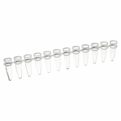 Tubes PCR en PP, BRAND®, barettes de 12, sans bouchon