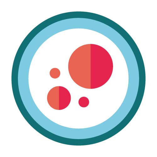 Galerie API® pour Identification